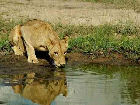 Ultimate Grand African Voyage